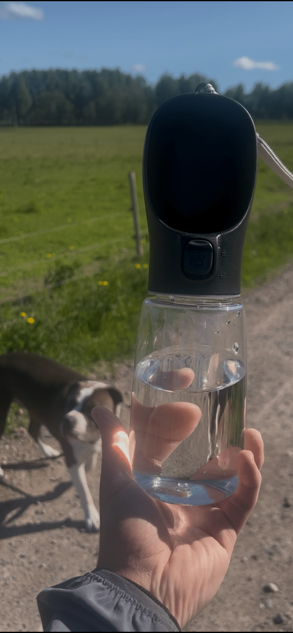 ClickHomee — Portable Dog Water Bottle – Leak - Proof Travel Water Dispenser for Dogs - ClickHomee