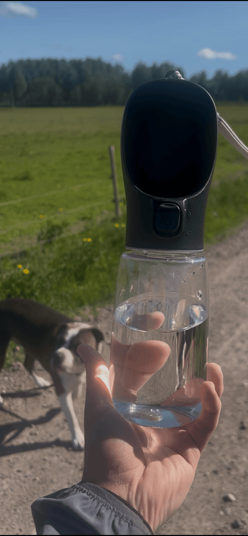 ClickHomee — Portable Dog Water Bottle – Leak - Proof Travel Water Dispenser for Dogs - ClickHomee